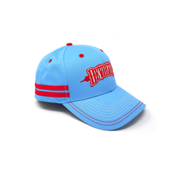 //merch.devolverdigital.com/cdn/shop/products/HARRY-HAT_0003_Background_1024x1024.png?v=1602083306 Devolver Digital "Harry Hat"
